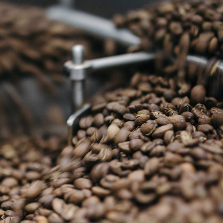 Grains de café torréfiés dans le bac de refroidissement d'un atelier membre